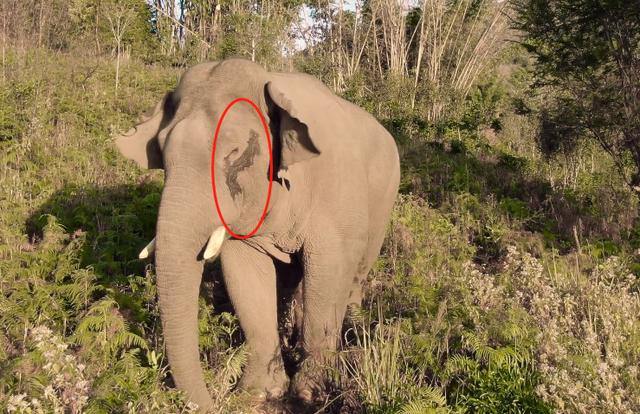 9.8分哭着看完的纪录片，看完这部纪录片我庆幸生在中国