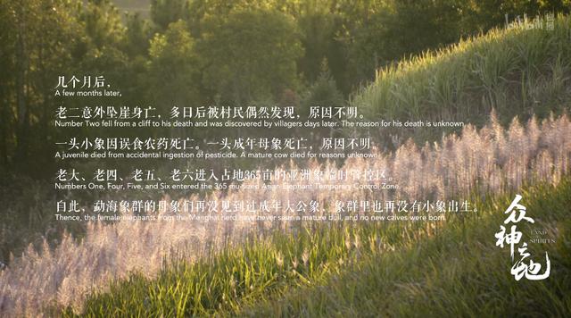 9.8分哭着看完的纪录片，看完这部纪录片我庆幸生在中国