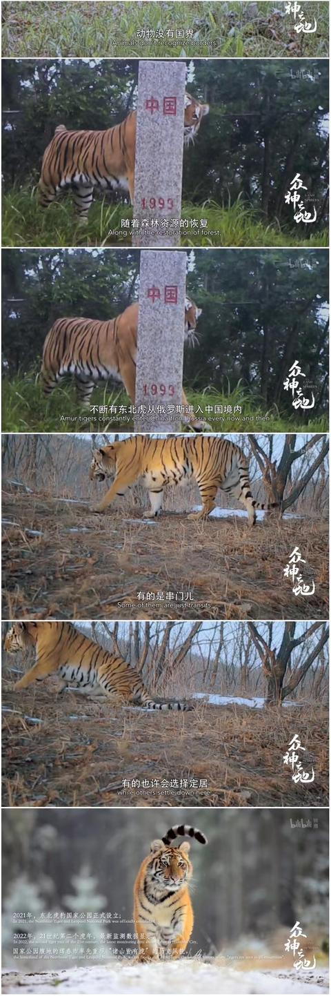 9.8分哭着看完的纪录片，看完这部纪录片我庆幸生在中国