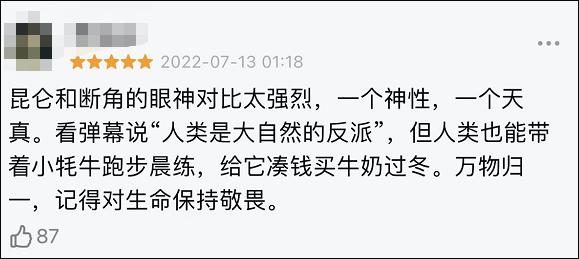 9.8分哭着看完的纪录片，看完这部纪录片我庆幸生在中国