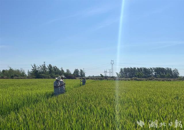 武黄高速线路图，<武黄、黄黄段>改扩建进展顺利