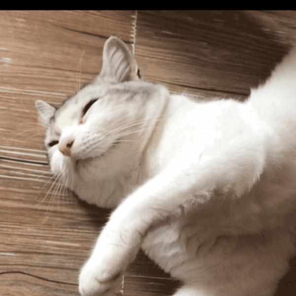 尿很多是糖尿病吗(尿多是因为糖尿病吗)