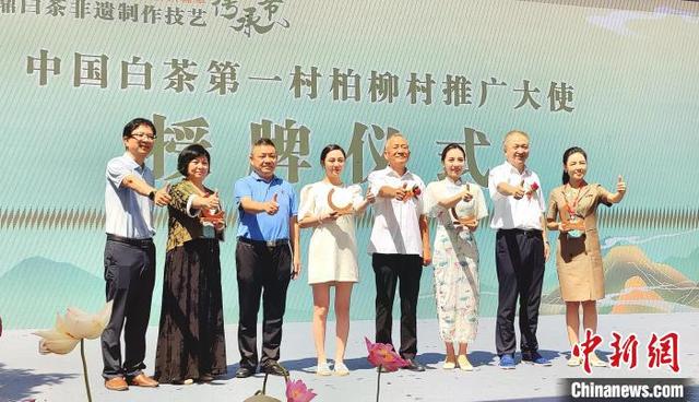 白茶制作技术与工艺，看见茶本来的样子