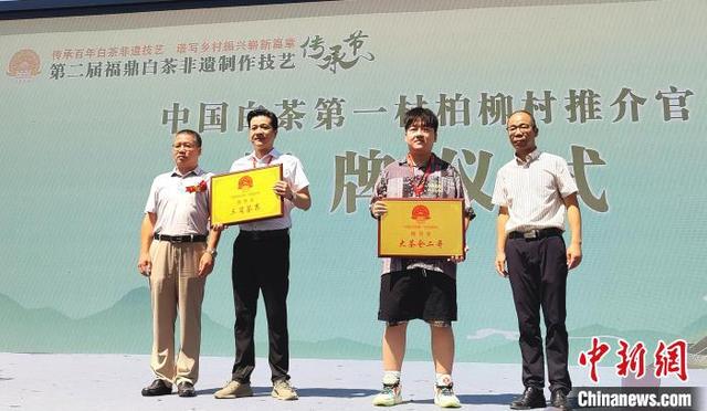 白茶制作技术与工艺，看见茶本来的样子