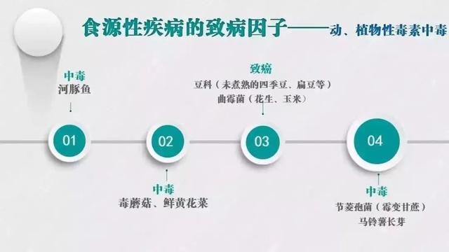 食品安全周是每年的什么时间，2022年6月全国食品安全宣传周（会让你生活更美好）