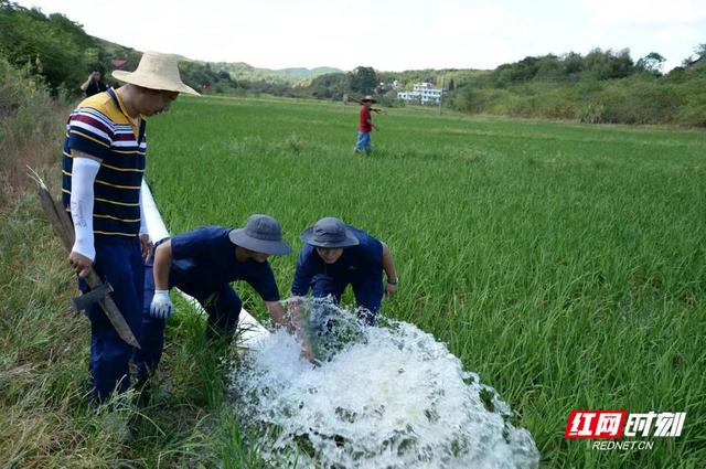 耒阳重大项目建设，“厢遇耒阳·码头烟火”项目建设如火如荼