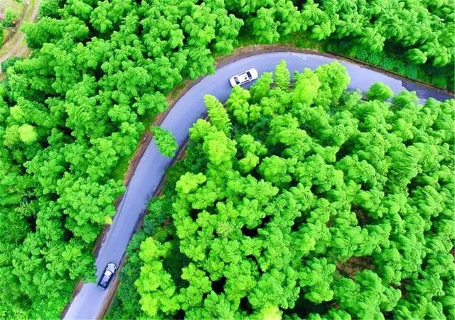 即刻就出发何必远行，国内自驾游必去的10条公路