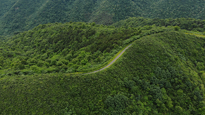 即刻就出发何必远行，国内自驾游必去的10条公路