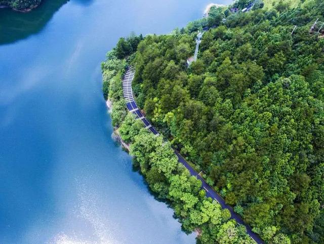 即刻就出发何必远行，国内自驾游必去的10条公路