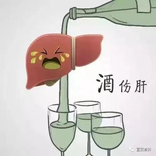 胆碱与肥胖(胆碱和胆有关系吗)