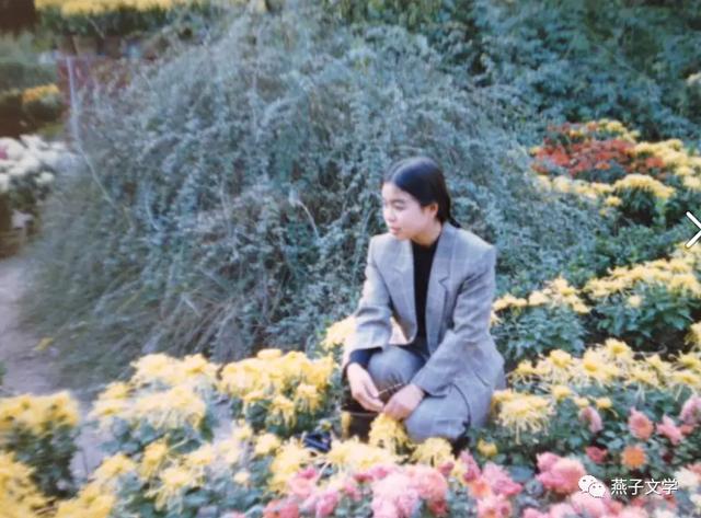 燕子的爱情故事大全，鸽子最后用99天证明尊严