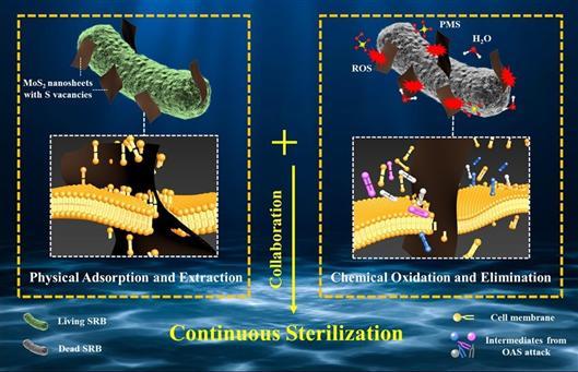 纳米抗菌剂的杀菌原理，纳米银广谱杀菌没听说过
