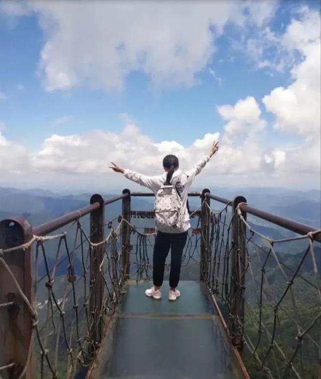 周桐是什么人，周桐一路走好