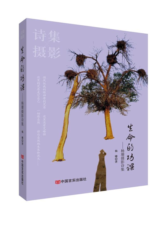 用感性语言触及生命的真相，作家杨珊珊（生命就是一场修行）