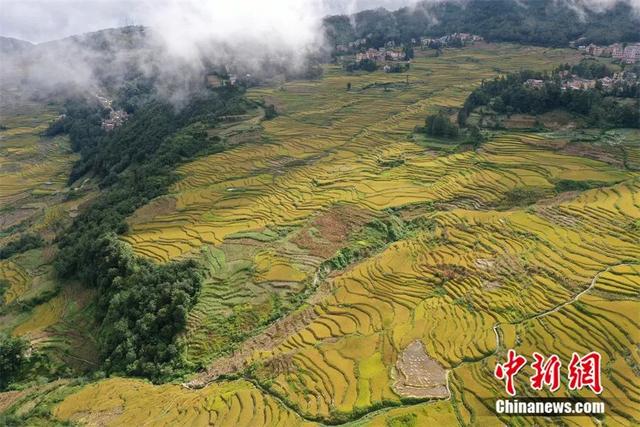 历史上有郑婉言吗，东西问郑茜从