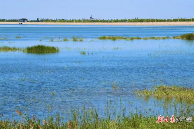 甘肃张掖市的青山绿水，甘肃张掖生态建设成效显著