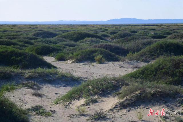 甘肃张掖市的青山绿水，甘肃张掖生态建设成效显著