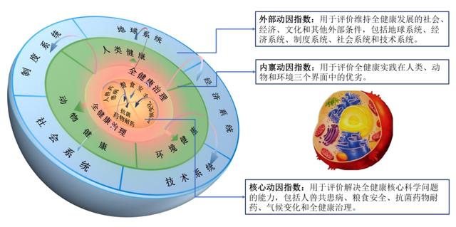 健康指数指的是什么，全球全健康指数首次发布