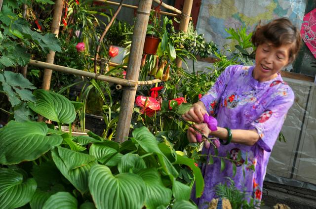 北京最适合居住的胡同，居民参与一院一策