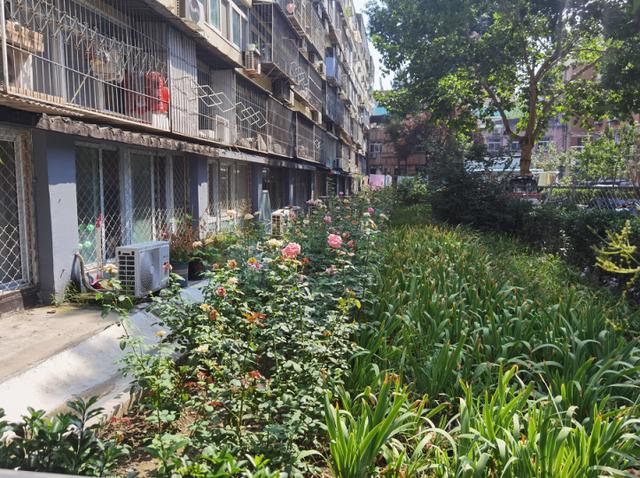 北京最适合居住的胡同，居民参与一院一策