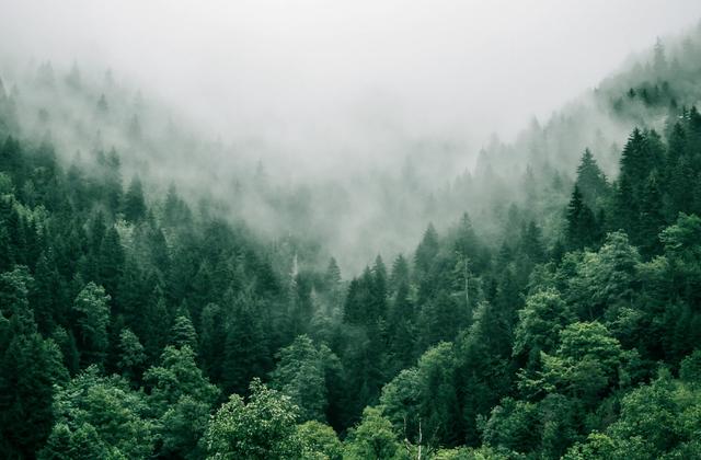 每日精选许良才，富贵三更梦经典语录