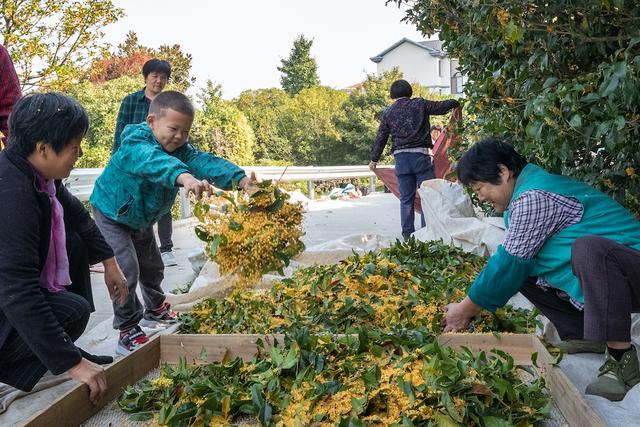 二十四节气儿歌，二十四节气歌顺口溜儿歌（《二十四节气歌》<2020年）