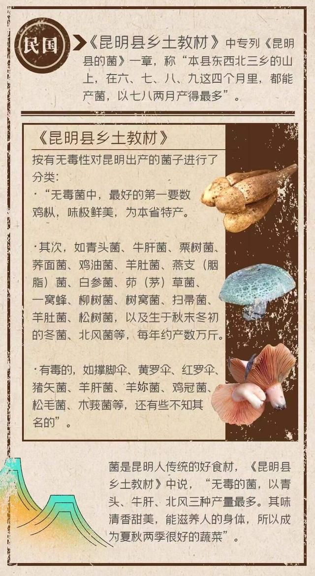 云南千奇百怪的菜，云南的“6大怪菜”