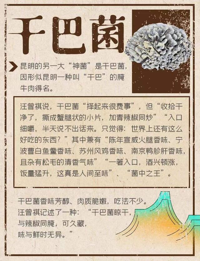 云南千奇百怪的菜，云南的“6大怪菜”