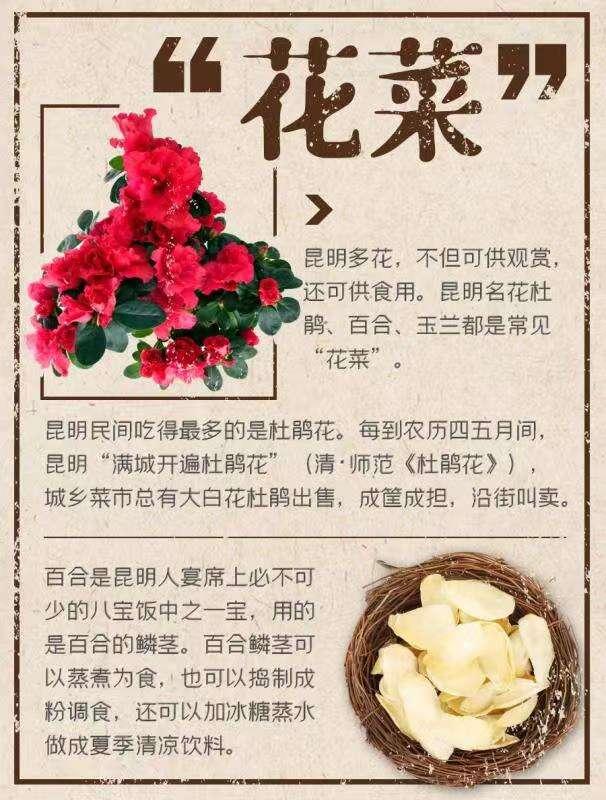 云南千奇百怪的菜，云南的“6大怪菜”