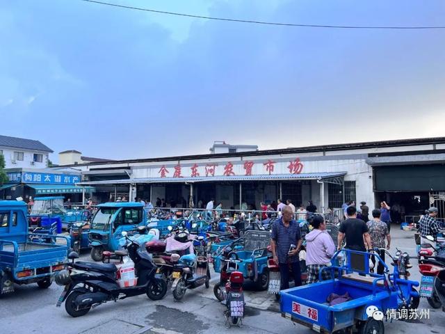 早市便宜的蔬菜，这些新鲜蔬菜你认识几个