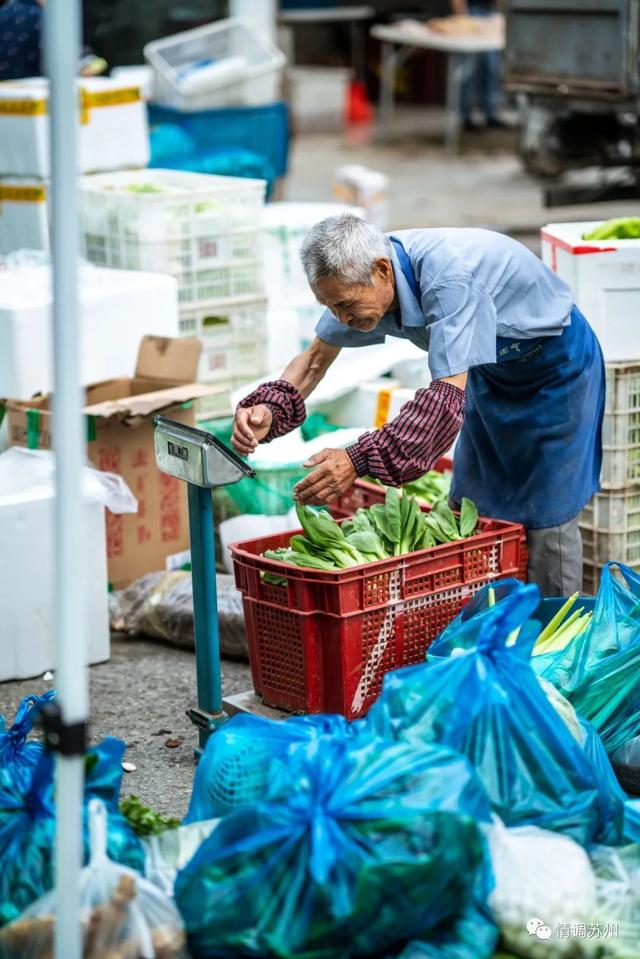 早市便宜的蔬菜，这些新鲜蔬菜你认识几个