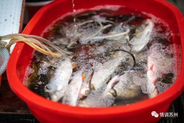 早市便宜的蔬菜，这些新鲜蔬菜你认识几个