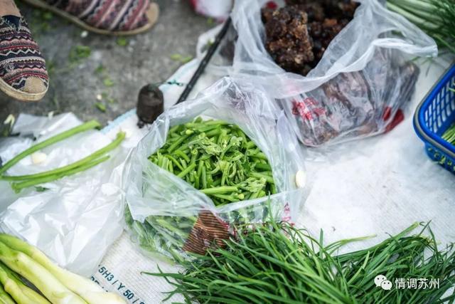 早市便宜的蔬菜，这些新鲜蔬菜你认识几个