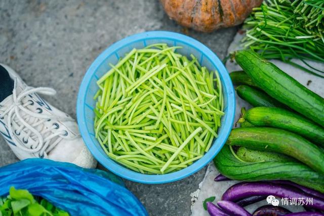 早市便宜的蔬菜，这些新鲜蔬菜你认识几个