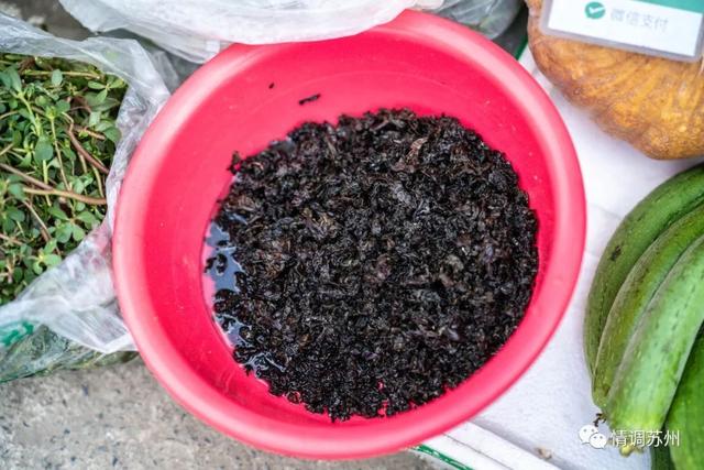 早市便宜的蔬菜，这些新鲜蔬菜你认识几个