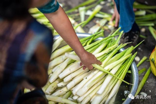 早市便宜的蔬菜，这些新鲜蔬菜你认识几个
