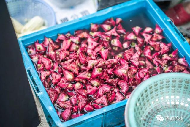 早市便宜的蔬菜，这些新鲜蔬菜你认识几个