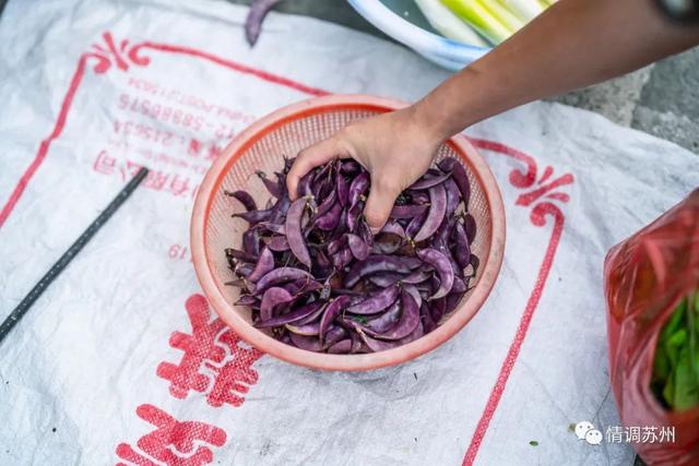 早市便宜的蔬菜，这些新鲜蔬菜你认识几个