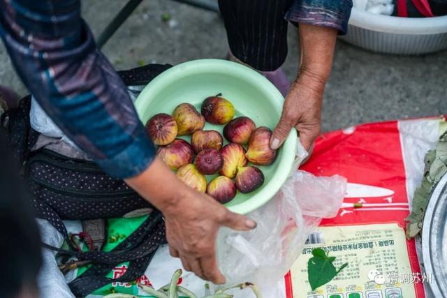 早市便宜的蔬菜，这些新鲜蔬菜你认识几个