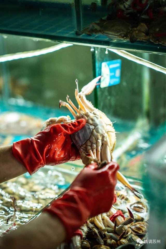 早市便宜的蔬菜，这些新鲜蔬菜你认识几个