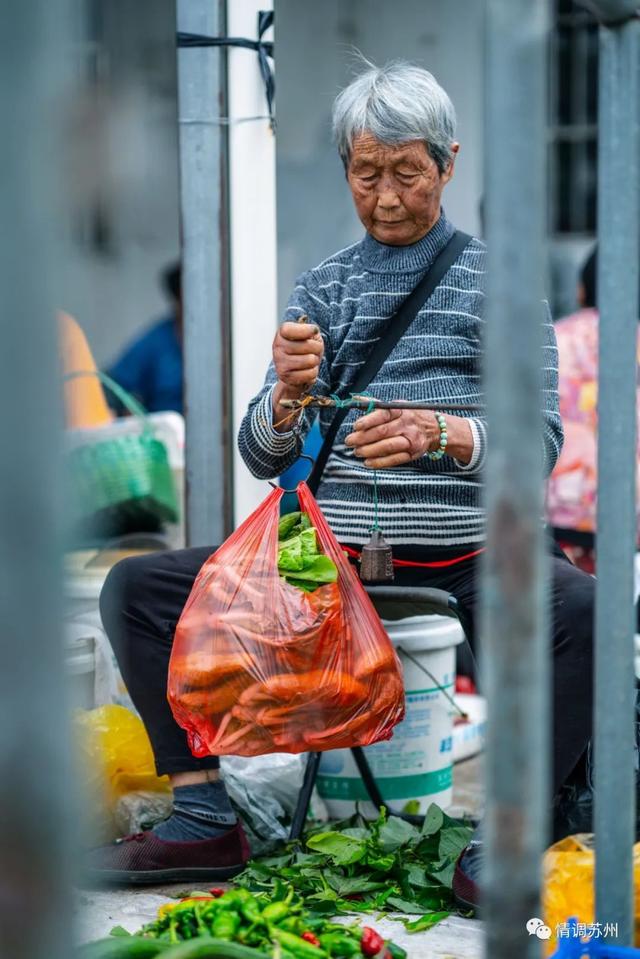 早市便宜的蔬菜，这些新鲜蔬菜你认识几个