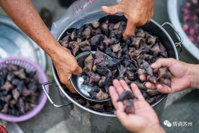 早市便宜的蔬菜，这些新鲜蔬菜你认识几个