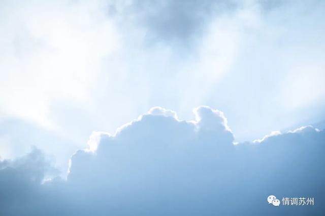 早市便宜的蔬菜，这些新鲜蔬菜你认识几个