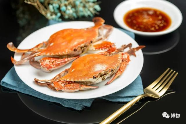 海蟹的种类与价格表图，市场常见海蟹图鉴