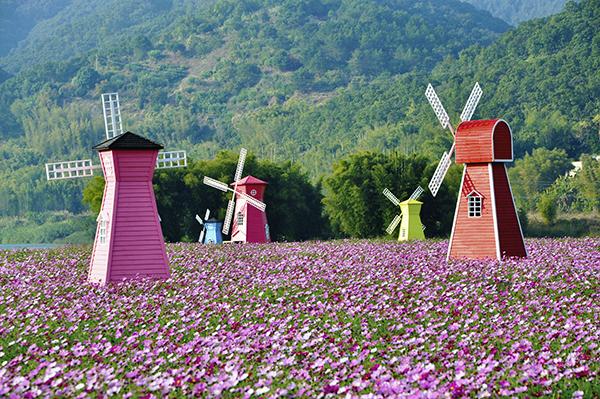 国庆去广州哪里旅游，广州海鸥岛最强看海攻略