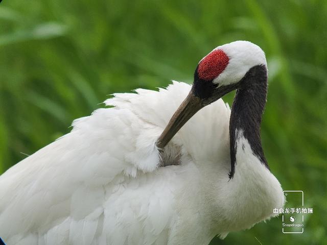 最容易发现的新物种，用科技记录自然之美