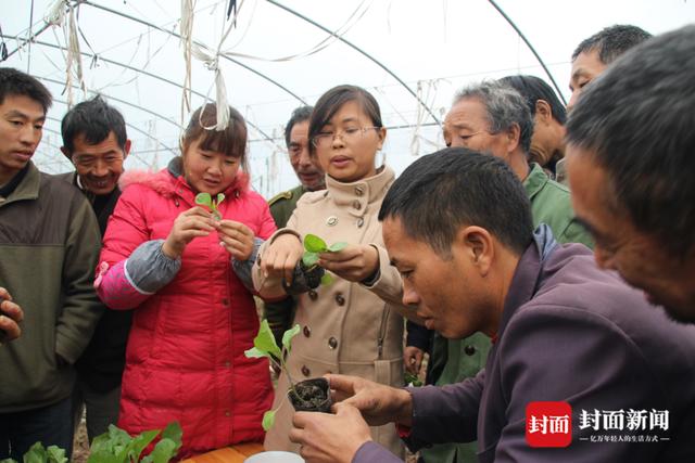大棚女村官杨媚，湖南95后女村支书刘淑娟