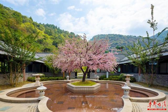 湖南省温泉旅游景点大全，国庆来湖南这座温泉小城吧