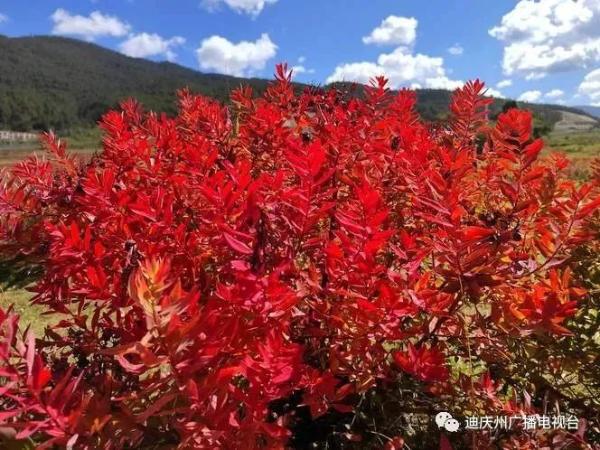 秋天的云南十大美景，蓝天、碧波、云海~云南的秋天美到窒息