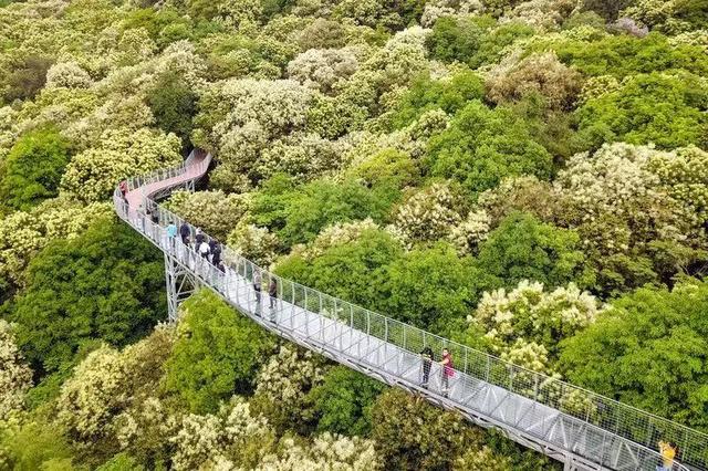 赣州最著名的几个旅游景点，国庆游赣州今日重阳